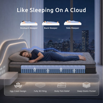 Furniture > Mattresses > Queen Mattress.