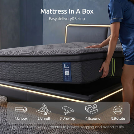 Furniture > Mattresses > Single Mattress.