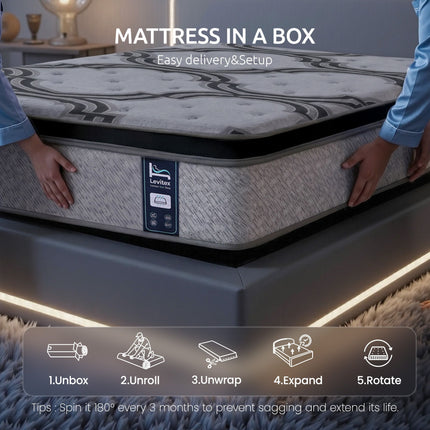 Furniture > Mattresses > Queen Mattress.