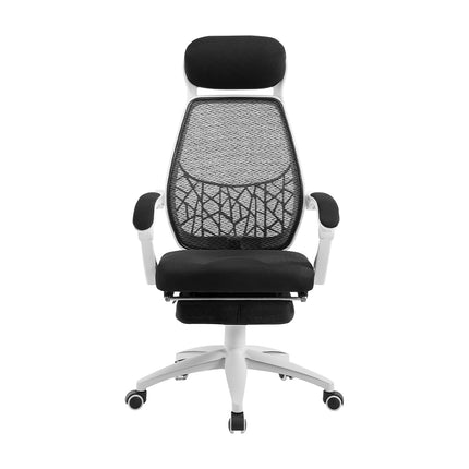 Furniture Cartoz.