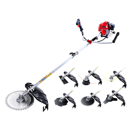Tools > Power Tools > Chainsaws.