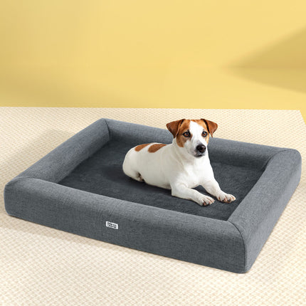 Pet Care Cartoz.