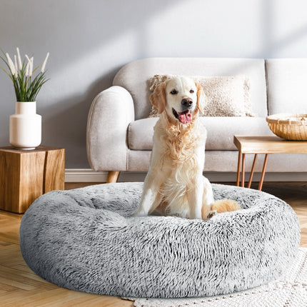 Pet Care Cartoz.