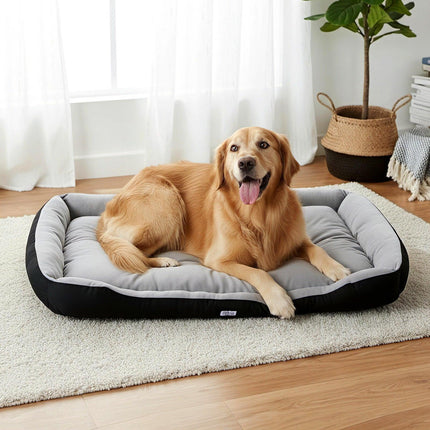 Pet Care Cartoz.