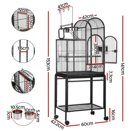 Pet Care Cartoz.