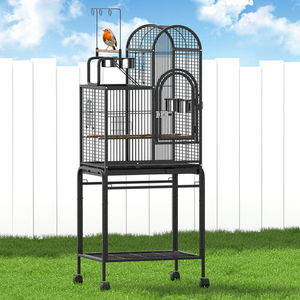 Pet Care Cartoz.