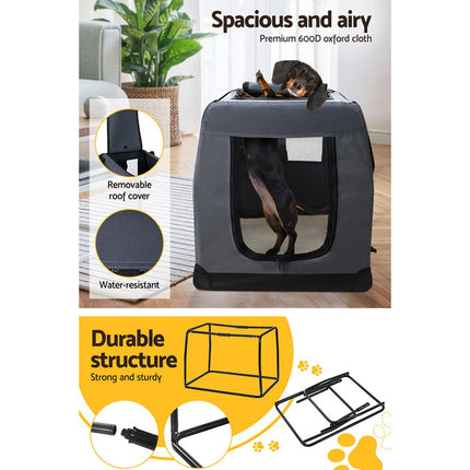 Pet Care Cartoz.