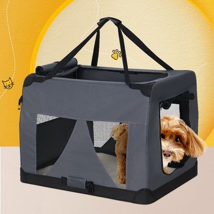 Pet Care Cartoz.