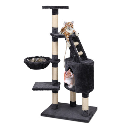 Pet Care Cartoz.