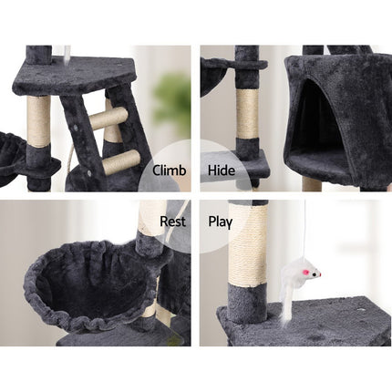 Pet Care Cartoz.