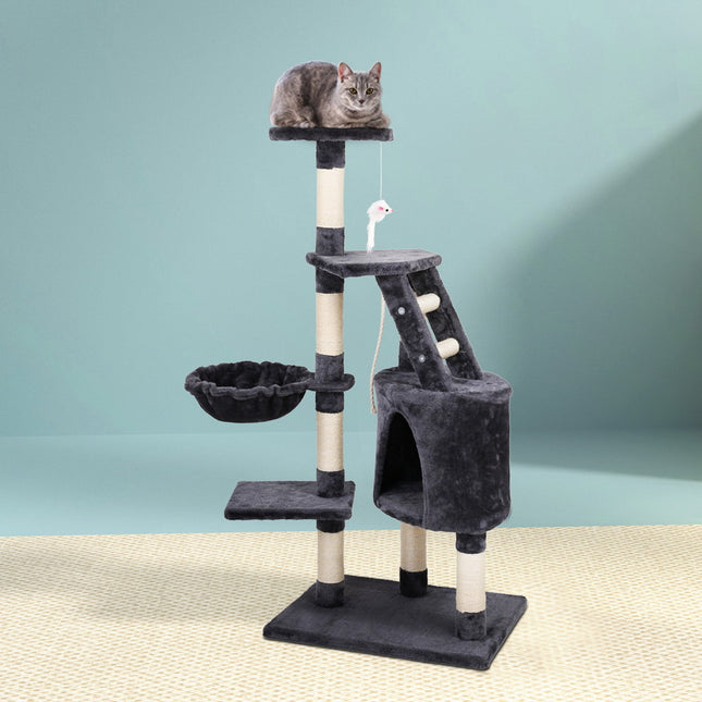 Pet Care.