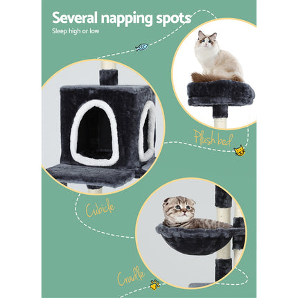 Pet Care Cartoz.