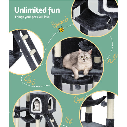 Pet Care Cartoz.