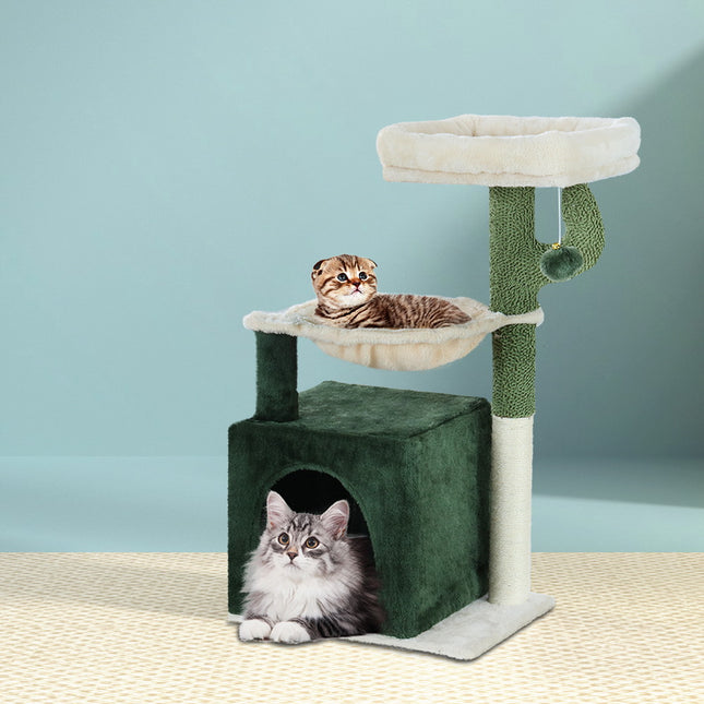 Pet Care.