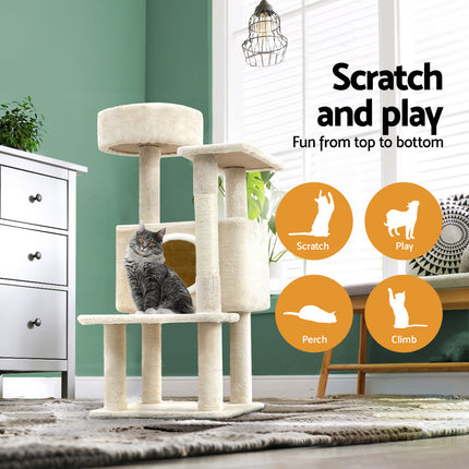 Pet Care Cartoz.