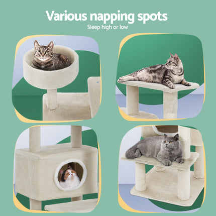 Pet Care Cartoz.