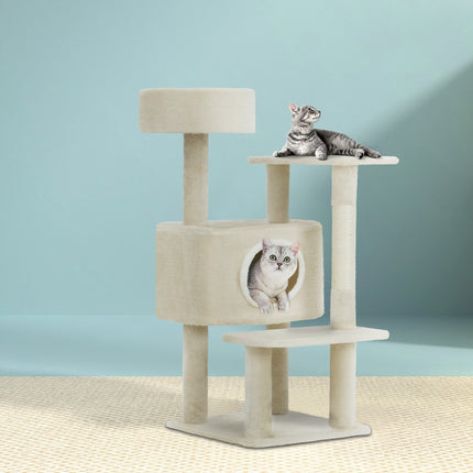 Pet Care Cartoz.