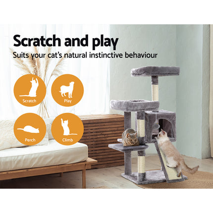 Pet Care Cartoz.