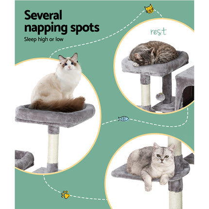 Pet Care Cartoz.