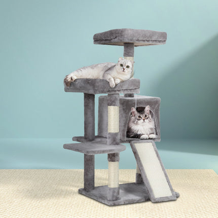 Pet Care Cartoz.