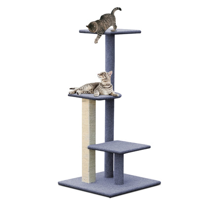 Pet Care Cartoz.