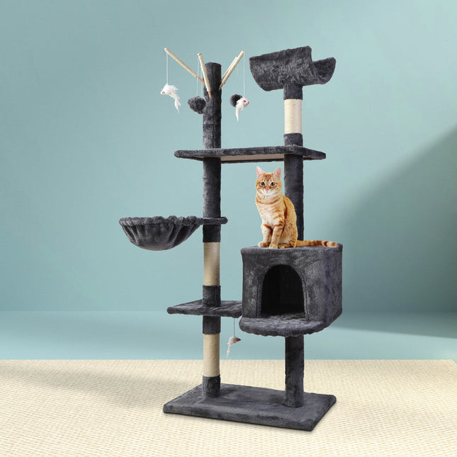 Pet Care.