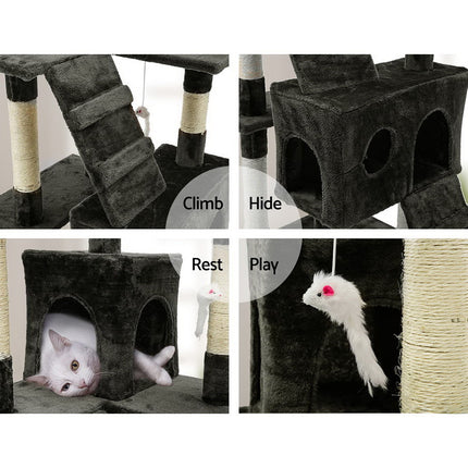 Pet Care Cartoz.