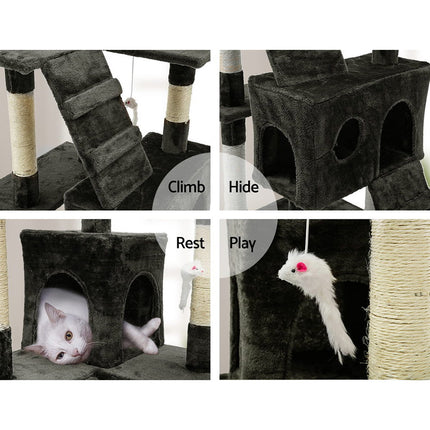 Pet Care Cartoz.