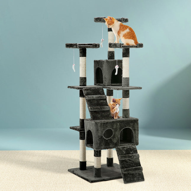 Pet Care.