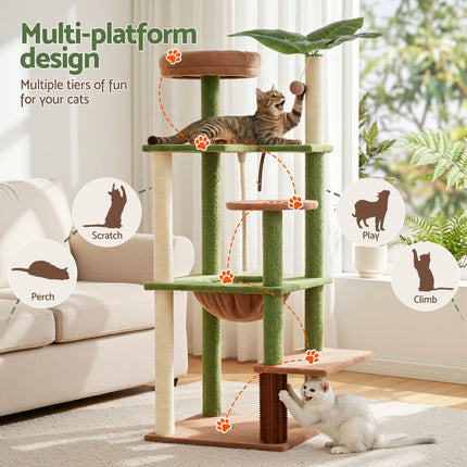 Pet Care > Cat Supplies > Cat Scratchers.