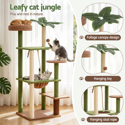 Pet Care > Cat Supplies > Cat Scratchers.
