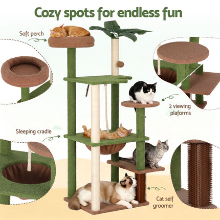 Pet Care > Cat Supplies > Cat Scratchers.