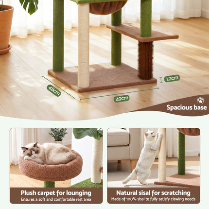 Pet Care > Cat Supplies > Cat Scratchers.