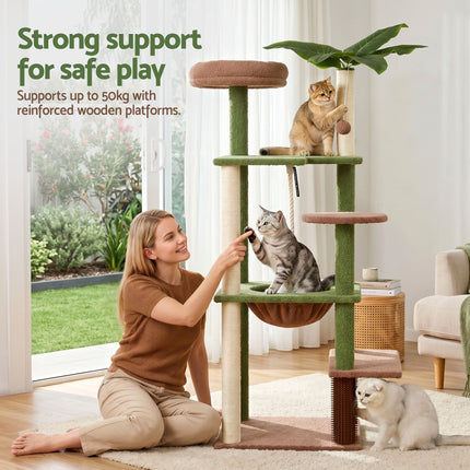 Pet Care > Cat Supplies > Cat Scratchers.