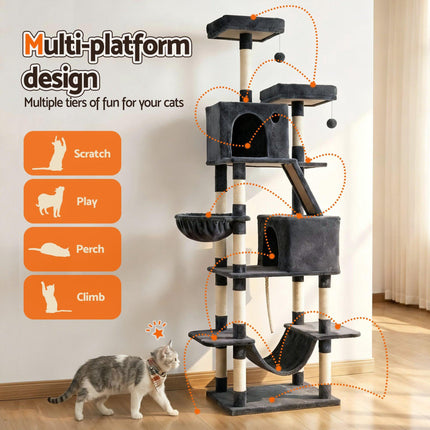 Pet Care.