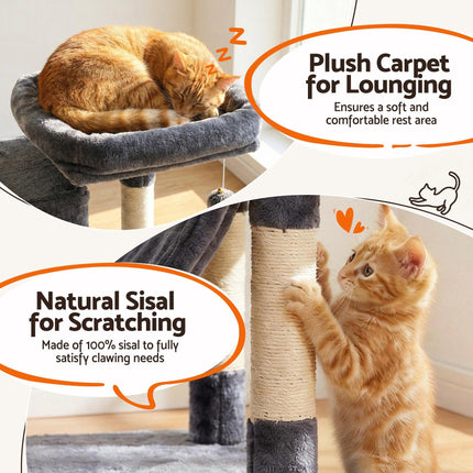 Pet Care.