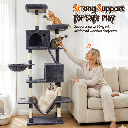 Pet Care.
