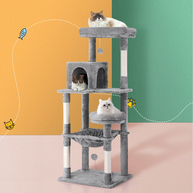 Pet Care.