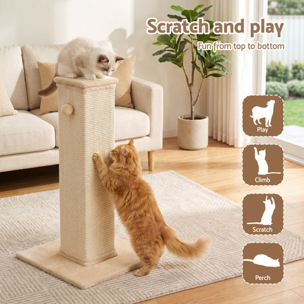 Pet Care > Cat Supplies > Cat Scratchers.