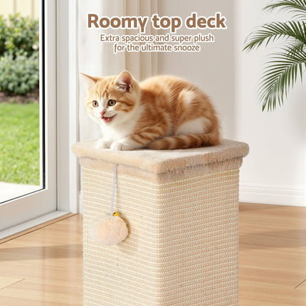 Pet Care > Cat Supplies > Cat Scratchers.