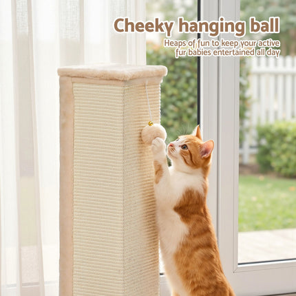 Pet Care > Cat Supplies > Cat Scratchers.