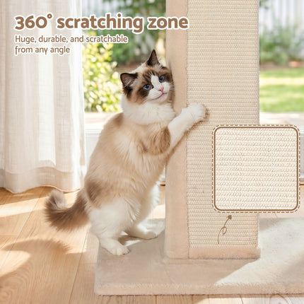 Pet Care > Cat Supplies > Cat Scratchers.
