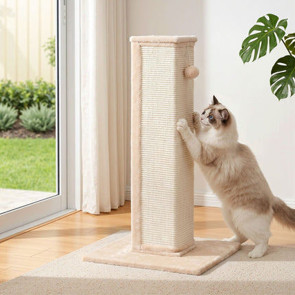 Pet Care > Cat Supplies > Cat Scratchers.
