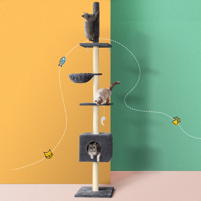 Pet Care.