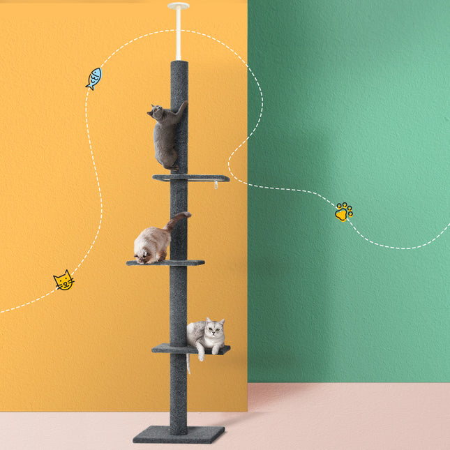 Pet Care.