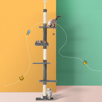 Pet Care Cartoz.