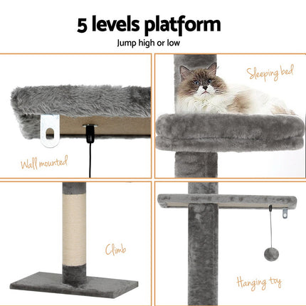 Pet Care Cartoz.