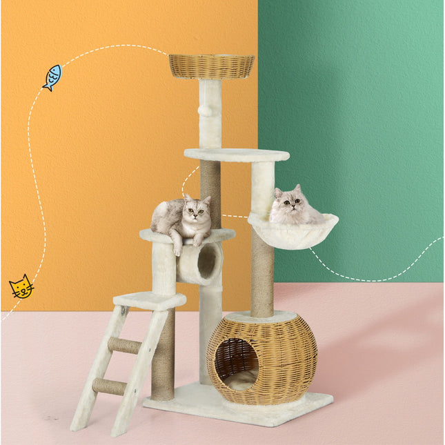 Pet Care.