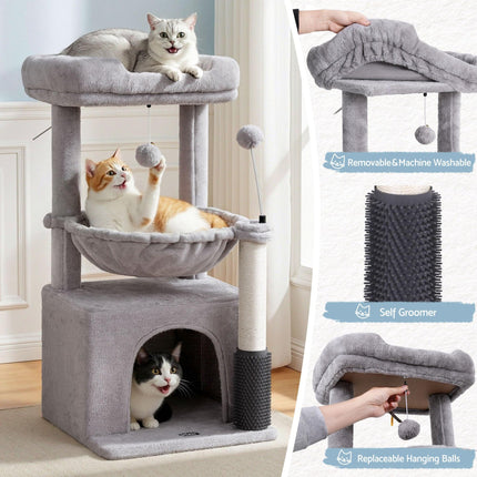 Pet Care Cartoz.