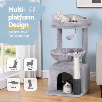 Pet Care Cartoz.
